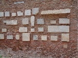 tm-21.jpg