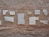 tm-22.jpg