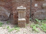 tm-25.jpg