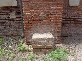tm-26.jpg