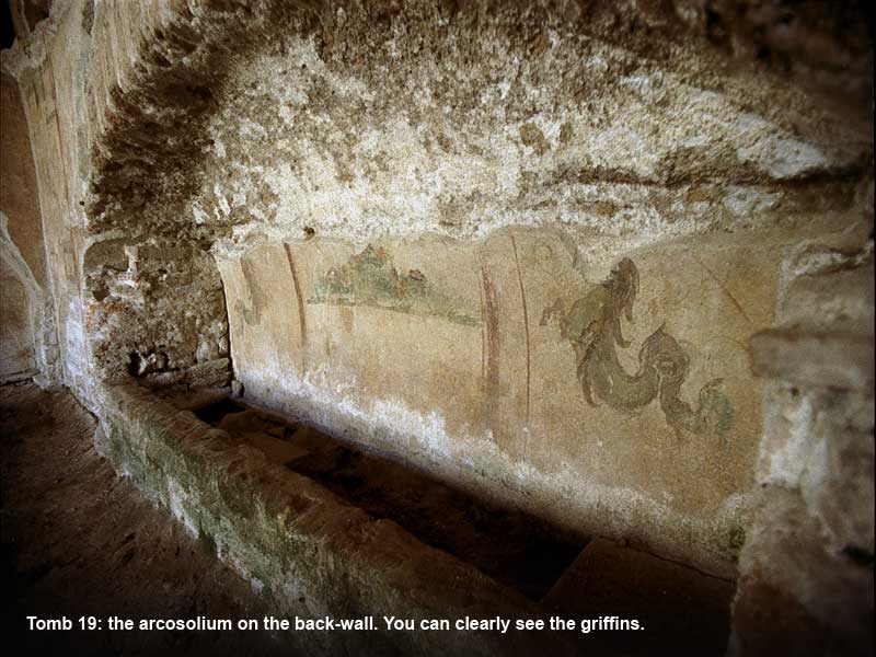 back to tomb 29