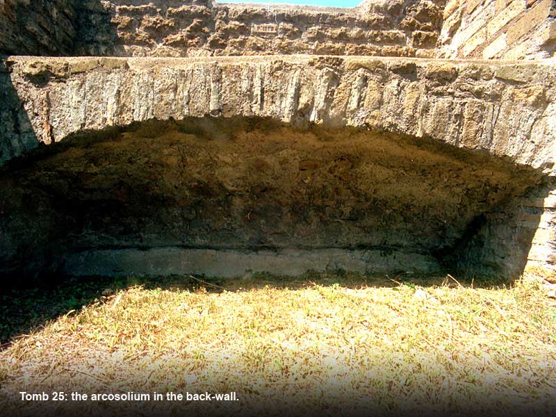 back to tomb 25