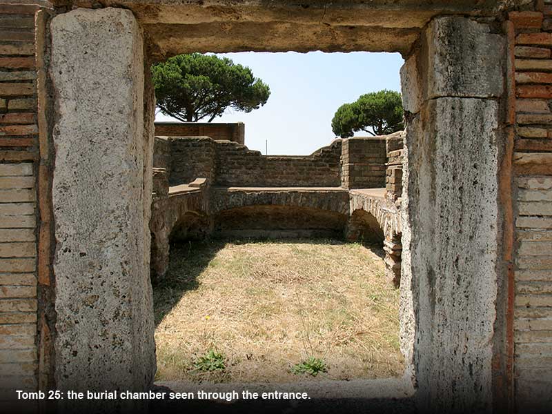 back to tomb 25