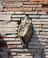 click to enlarge photograph