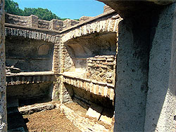 click to enlarge photograph