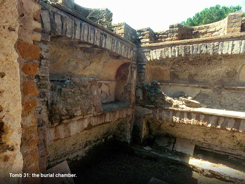 back to tomb 31