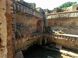 click to enlarge photograph