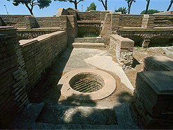 click to enlarge photograph