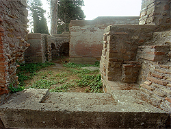 click to enlarge photograph
