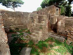 click to enlarge photograph