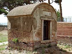 click to enlarge photograph