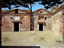 click to enlarge photograph