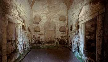 click to enlarge photograph