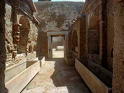 click to enlarge photograph