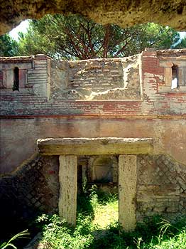 click to enlarge photograph