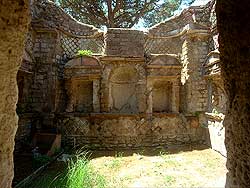 click to enlarge photograph