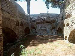 click to enlarge photograph