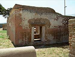 click to enlarge photograph