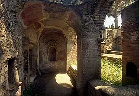 click to enlarge photograph